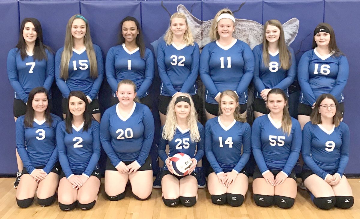 First Ever Lady Cougars High School Volleyball Team Hardin County 